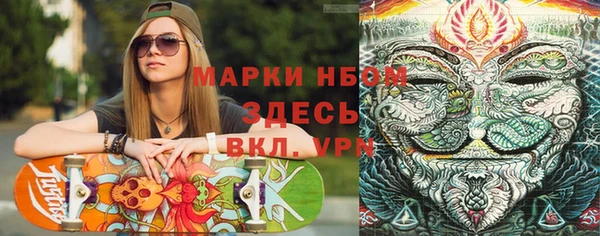 PSILOCYBIN Медвежьегорск