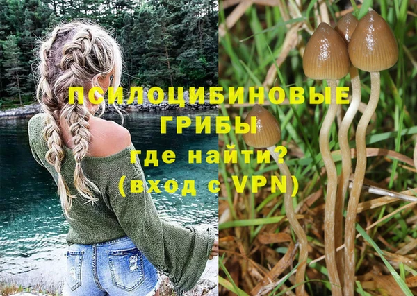 PSILOCYBIN Медвежьегорск