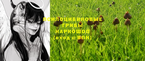PSILOCYBIN Медвежьегорск