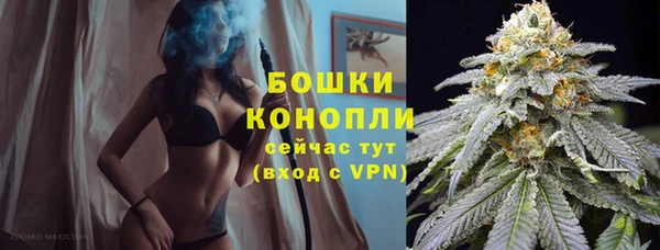 PSILOCYBIN Михайловка