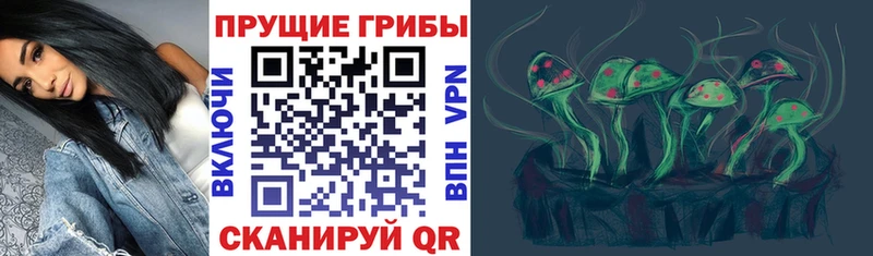 Псилоцибиновые грибы мицелий  Заволжск 
